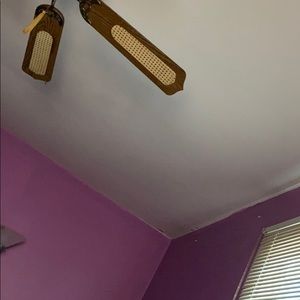 Meet your Posher, Maggie